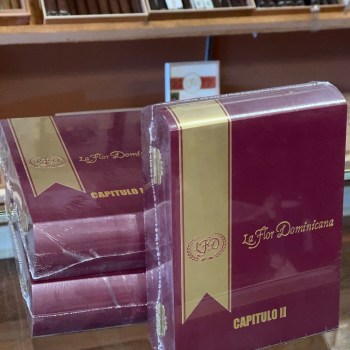 La Flor Dominicana Capitulo II